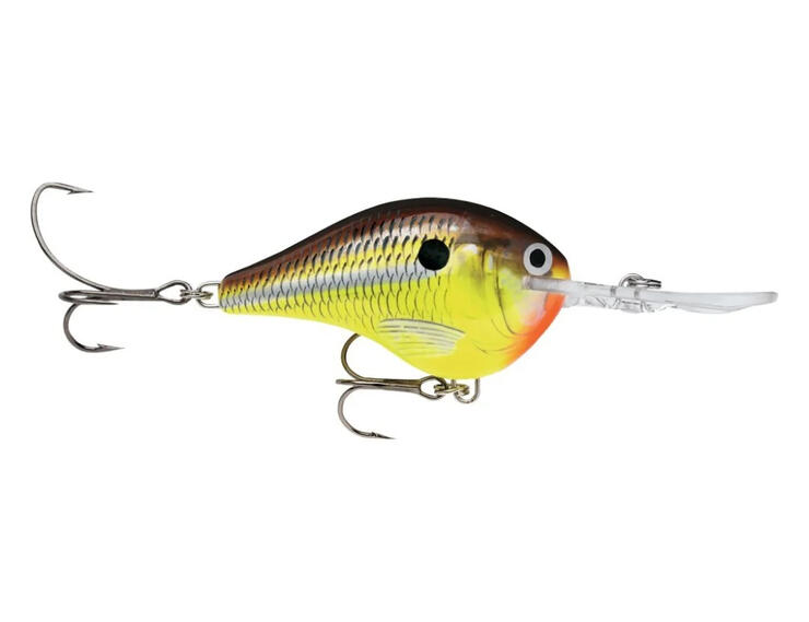 Top 5 Baits for Smallmouth and Largemouth Bass in Ontario Northern